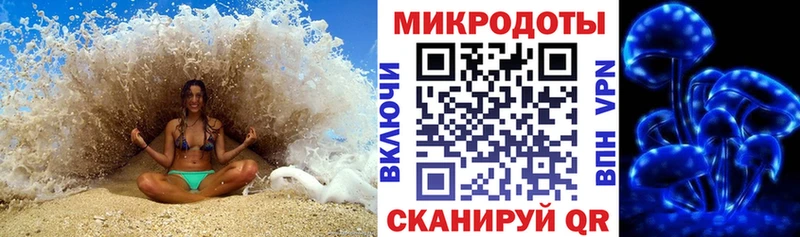Псилоцибиновые грибы MAGIC MUSHROOMS  дарк нет состав  Разумное 